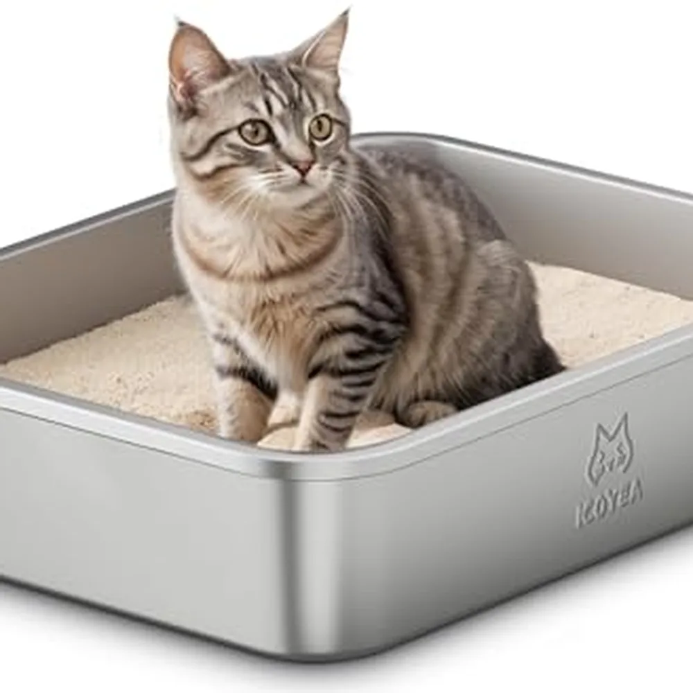 Bac à Litière pour Chat en Inox 40×30×10 cm : Avis Complet
