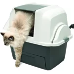 Catit Maison de Toilette SmartSift : Avis Complet sur ce Bac à Tamisage