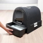 Curver 198846 Maison de Toilette pour Chat : Avis Complet