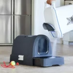 Curver 198846 Maison de Toilette pour Chat : Avis Complet