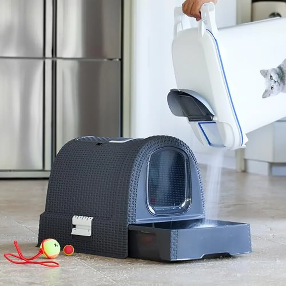 Curver 198846 Maison de Toilette pour Chat : Avis Complet