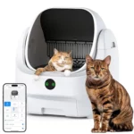 Ellenpent Litière Chat Autonettoyante Ouverte : Avis Complet 2026