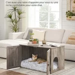 Feandrea Maison de Toilettes pour Chat : Avis Complet