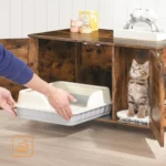 HOOBRO Niche pour Chat : Avis Complet et Test 2026
