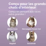 Iris Ohyama Bac à Litière Chat XL Ouvert : Avis Complet et Test