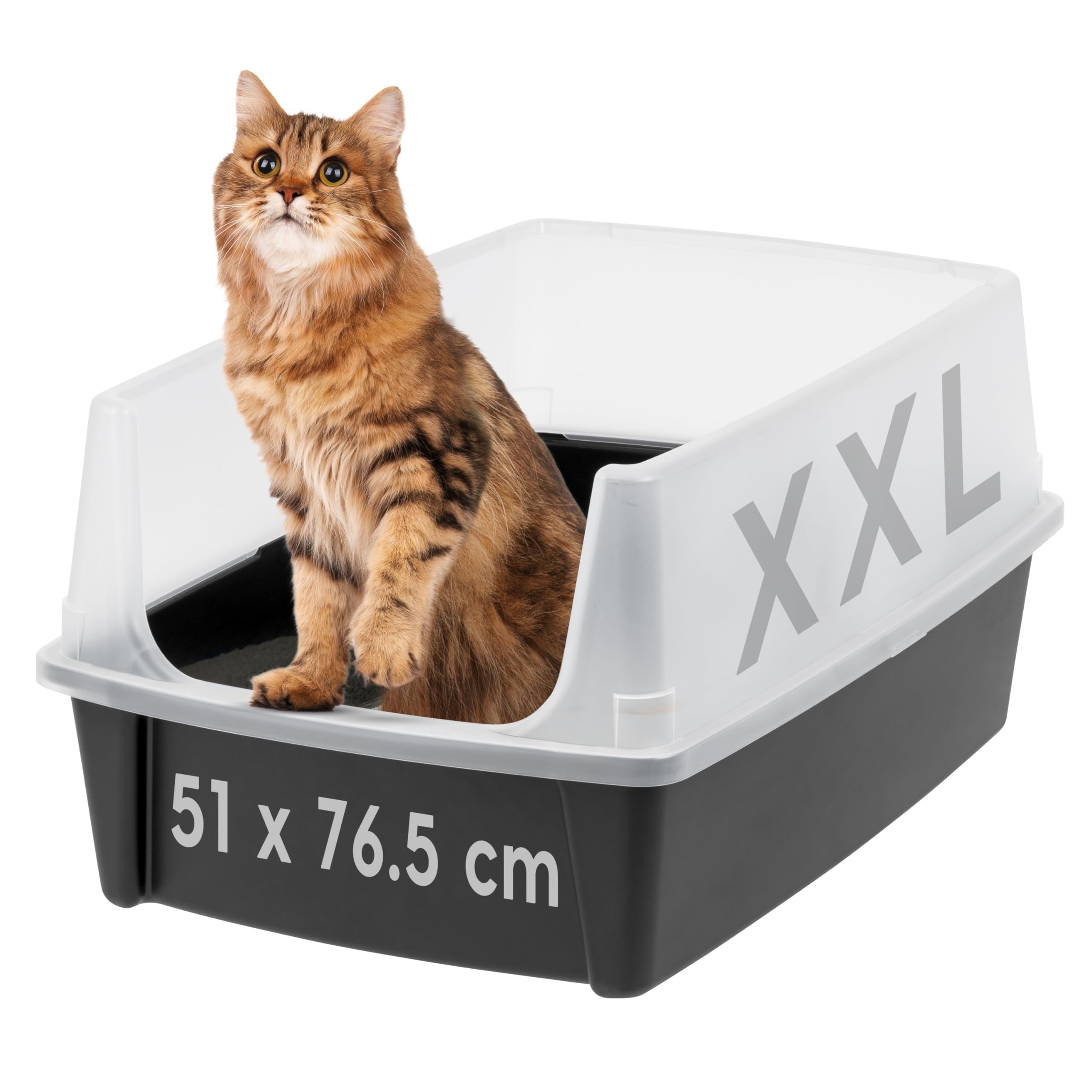 Iris Ohyama Bac à Litière Chat XL Ouvert : Avis Complet et Test